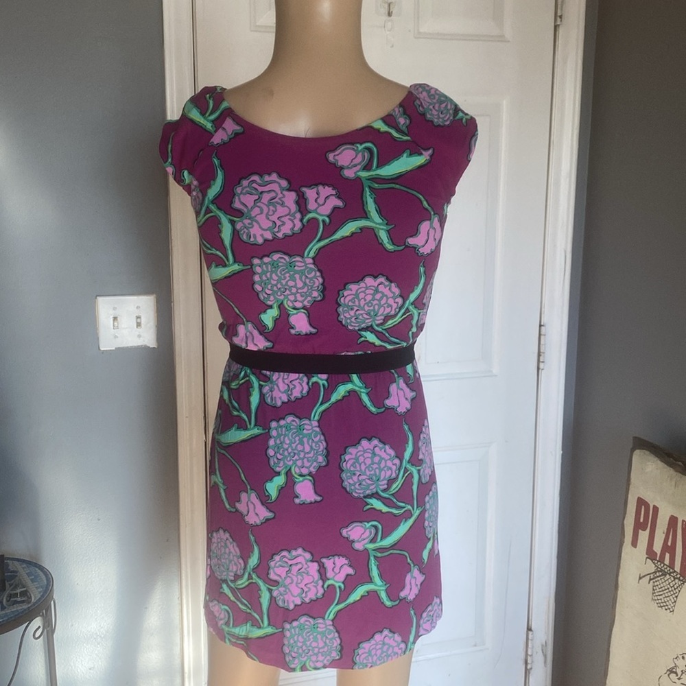 Lilly Pulitzer dress - Picture 6 of 8